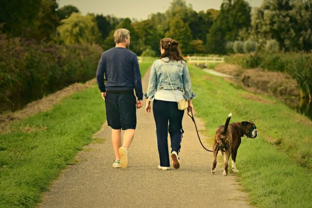 Couple walking with dog