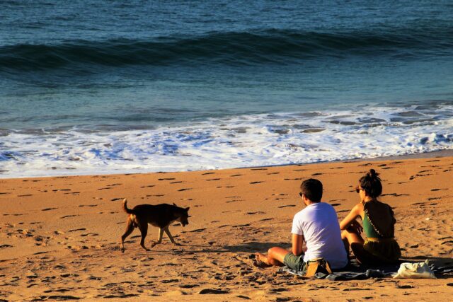 Couple on beach with dog