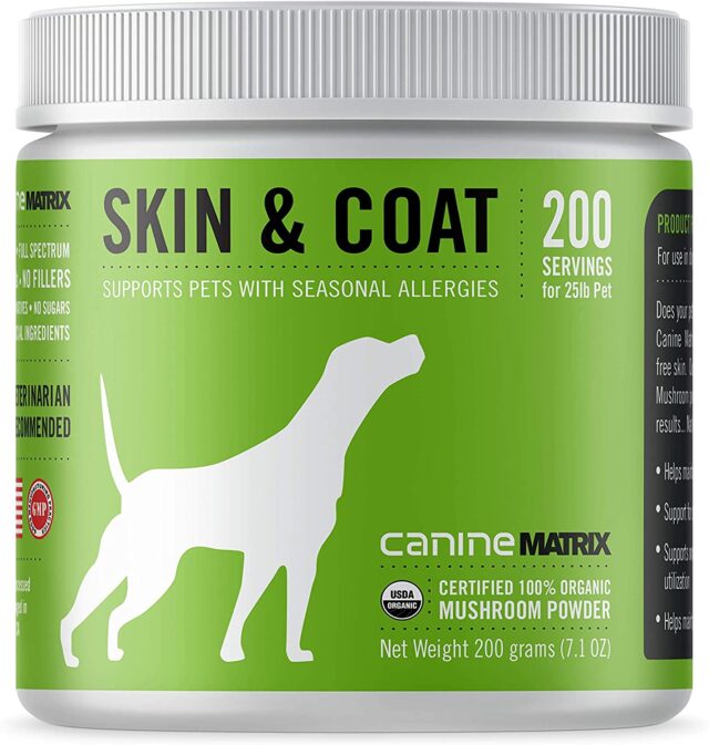 Mushroom skin & coat supplement for dogs