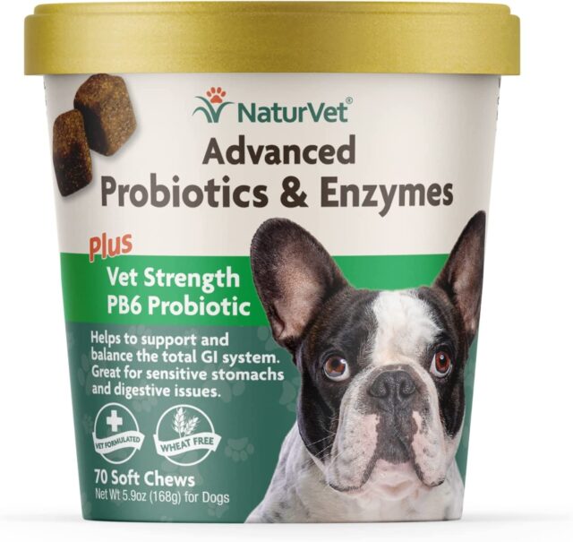 NaturVet Dog Probiotics and Enzymes