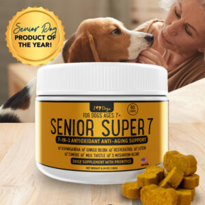 Second Chance  Senior Super 7 Daily MegaVitamin For Dogs 7-In-1 Antioxidant Anti-Aging Support With Probiotics For Longevity and Cognitive Boost – 60 Chews
