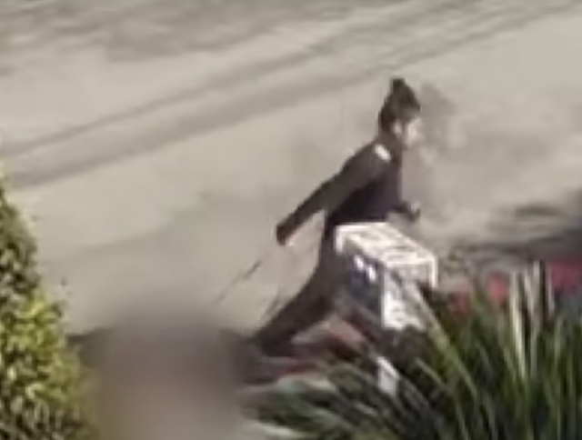 Woman dragging dog