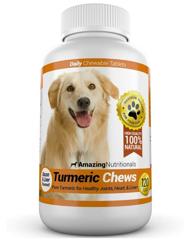 best turmeric for dogs