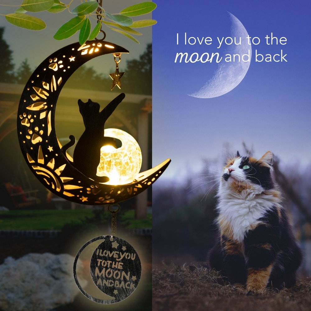 I Love You To The Moon & Back- The Ultimate Garden Solar Lantern for Cat Lovers