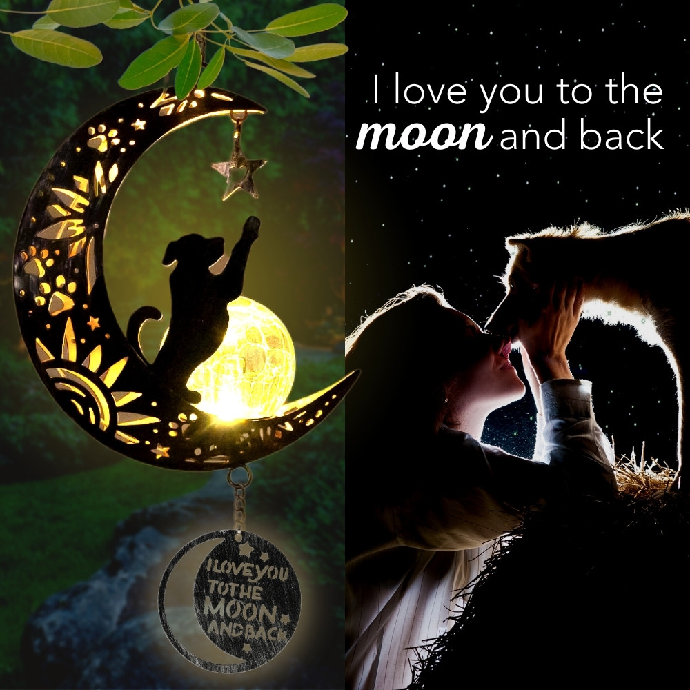 Image of Second Chance Movement&#x2122; Love You To The Moon & Back- The Ultimate Garden Solar Lantern for Dog Lovers