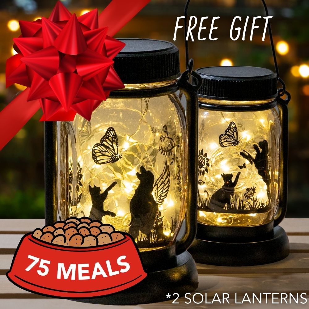 Feed 75 Shelter Dogs for $50 and Receive Dog & Butterfly Inspirational Solar Lantern Fairy Lights  - Hanging Jar & Garden Stake Two-Piece Set