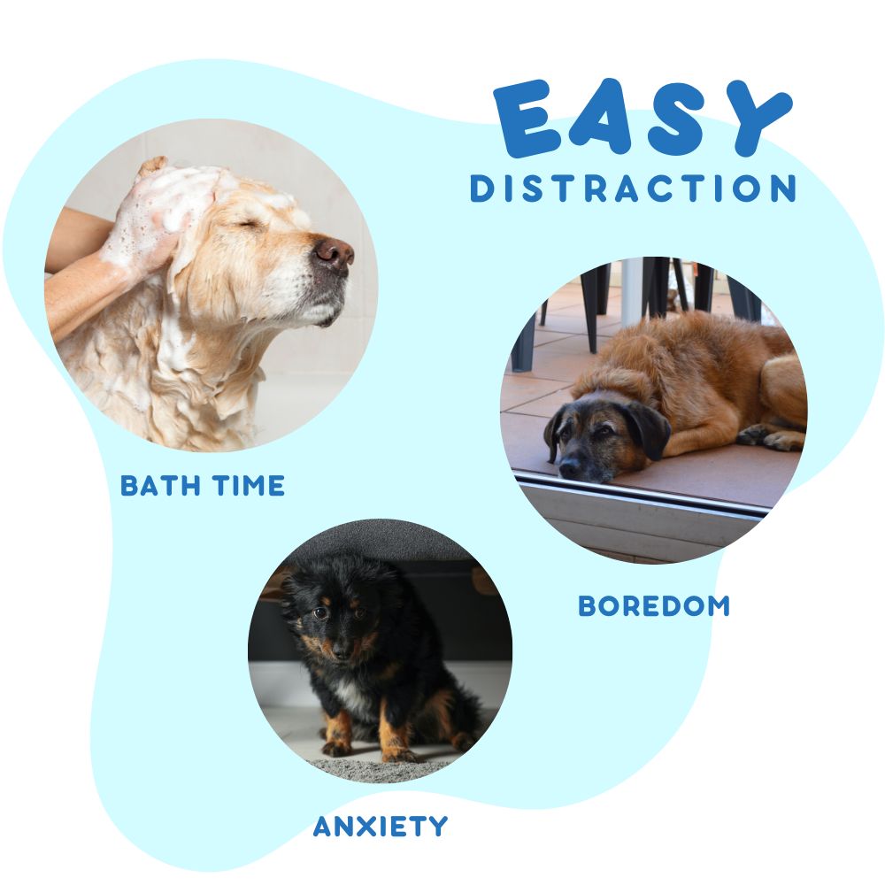 DOGUE's Top Boredom Buster for Dogs