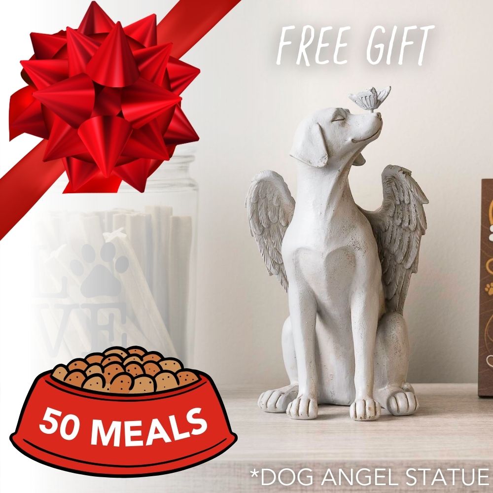 Feed 50 Shelter Dogs for $35 and Receive Dog Memorial Angel with Butterfly Indoor/Outdoor Figurine