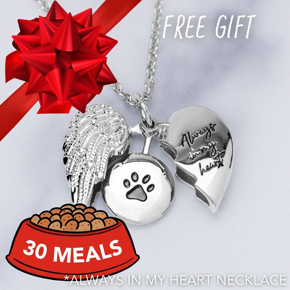 Feed 30 Shelter Dogs for $15 and Receive Always In My Heart With Open Wings Dog Memorial Necklace