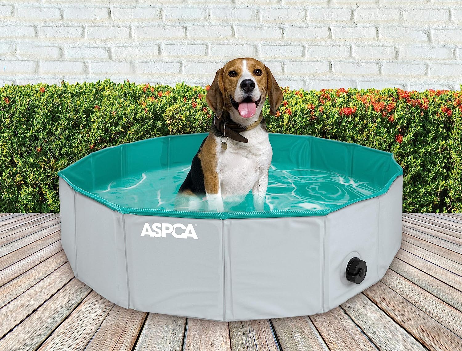 4. ASPCA Foldable Dog Bath Pool
