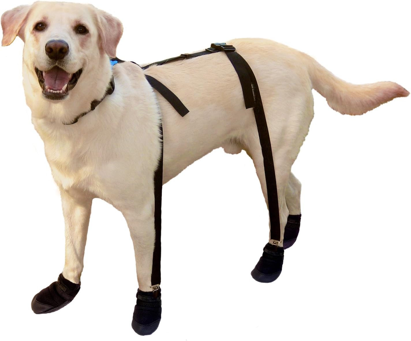 10. Canine Footwear Suspenders Snuggy Boots for Dog