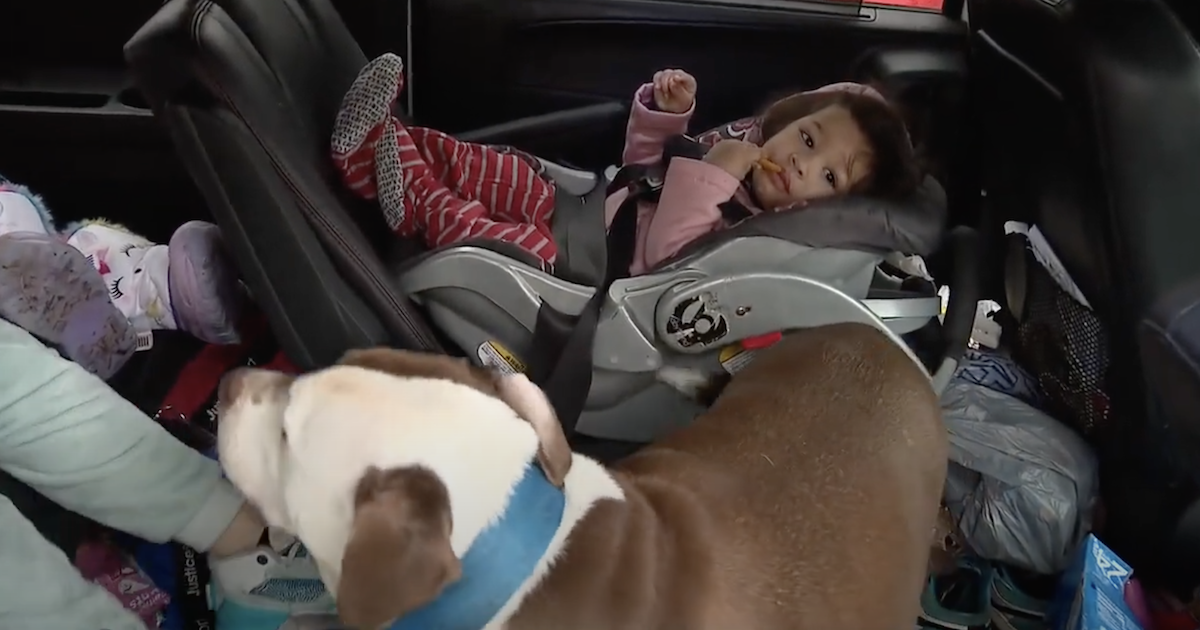 Dog saves baby from fire