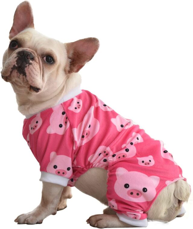 Dog wearing pig pajamas