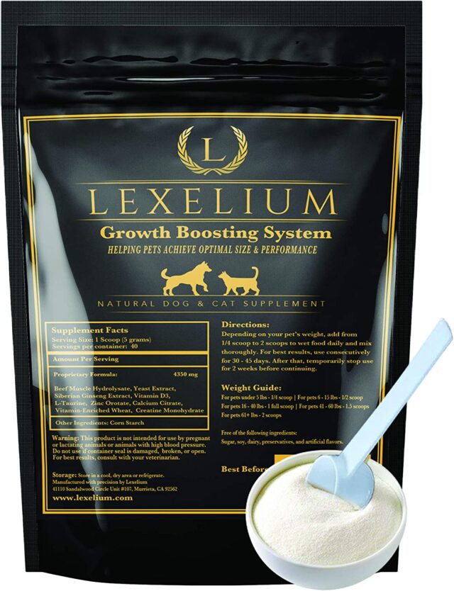 Lexelium dog muscle builder supplement