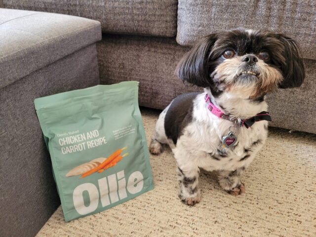 Mabel next to Ollie baked food
