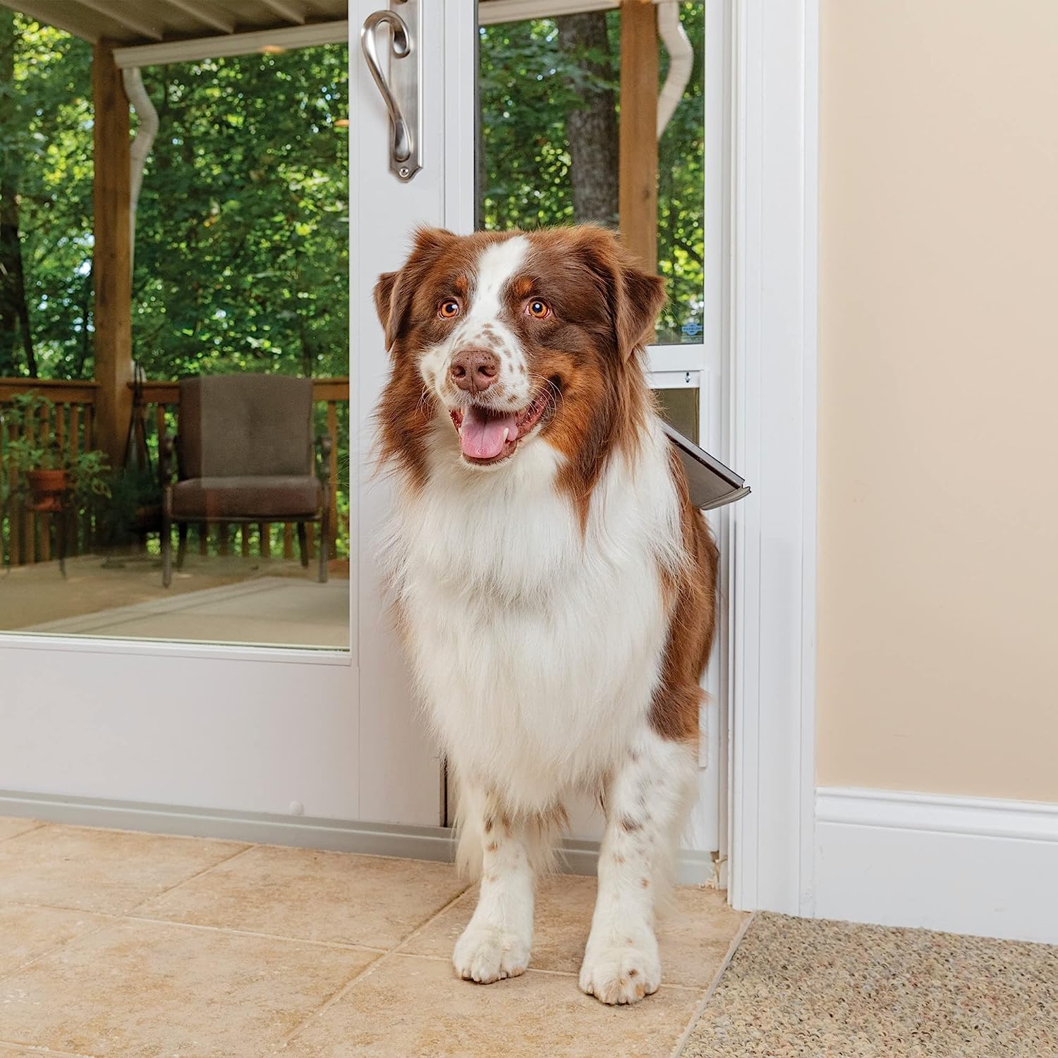 1. Puerta corrediza de vidrio para mascotas PetSafe de 1 pieza