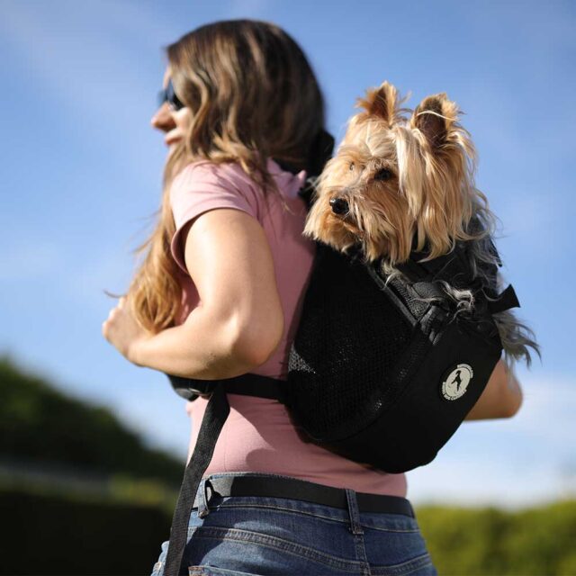 best wearable dog carriers
