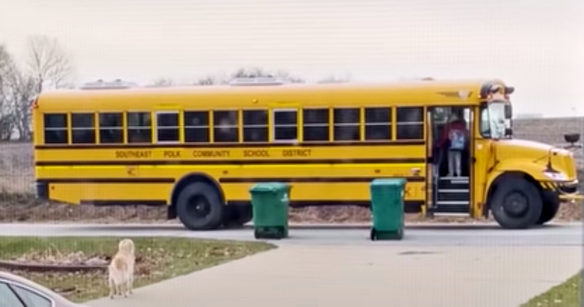 Dog Escorts Girl To Bus Every Day, Waits For Her To Leave Before Running Home