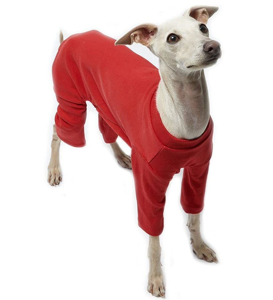Lucky Petter Basic Soft Dog Pajamas