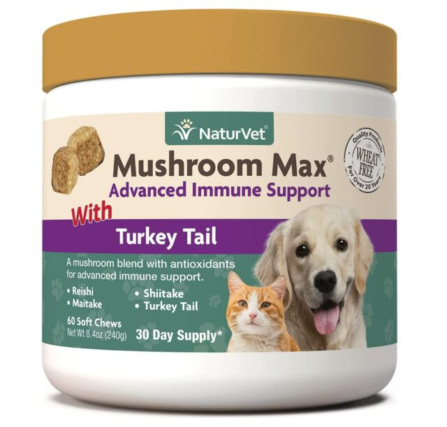 best immunity supplements for dogs