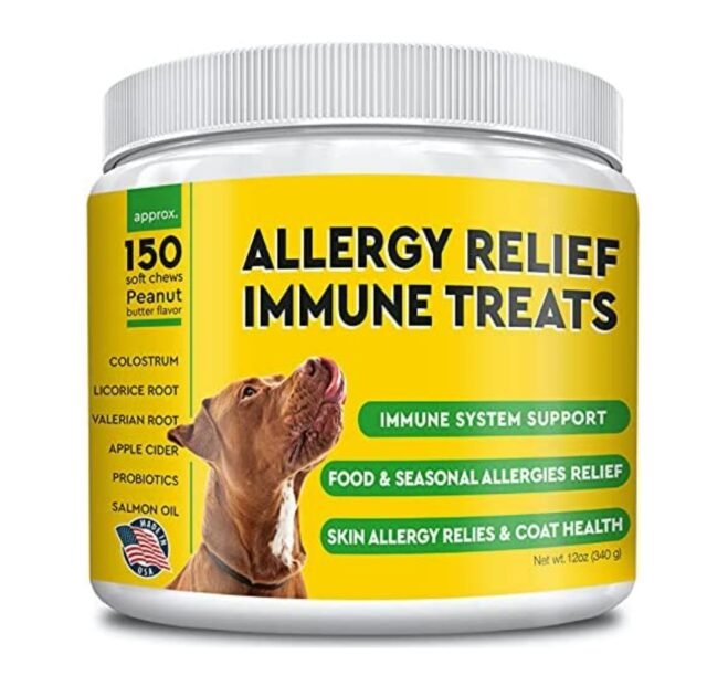 best dog immunity supplements
