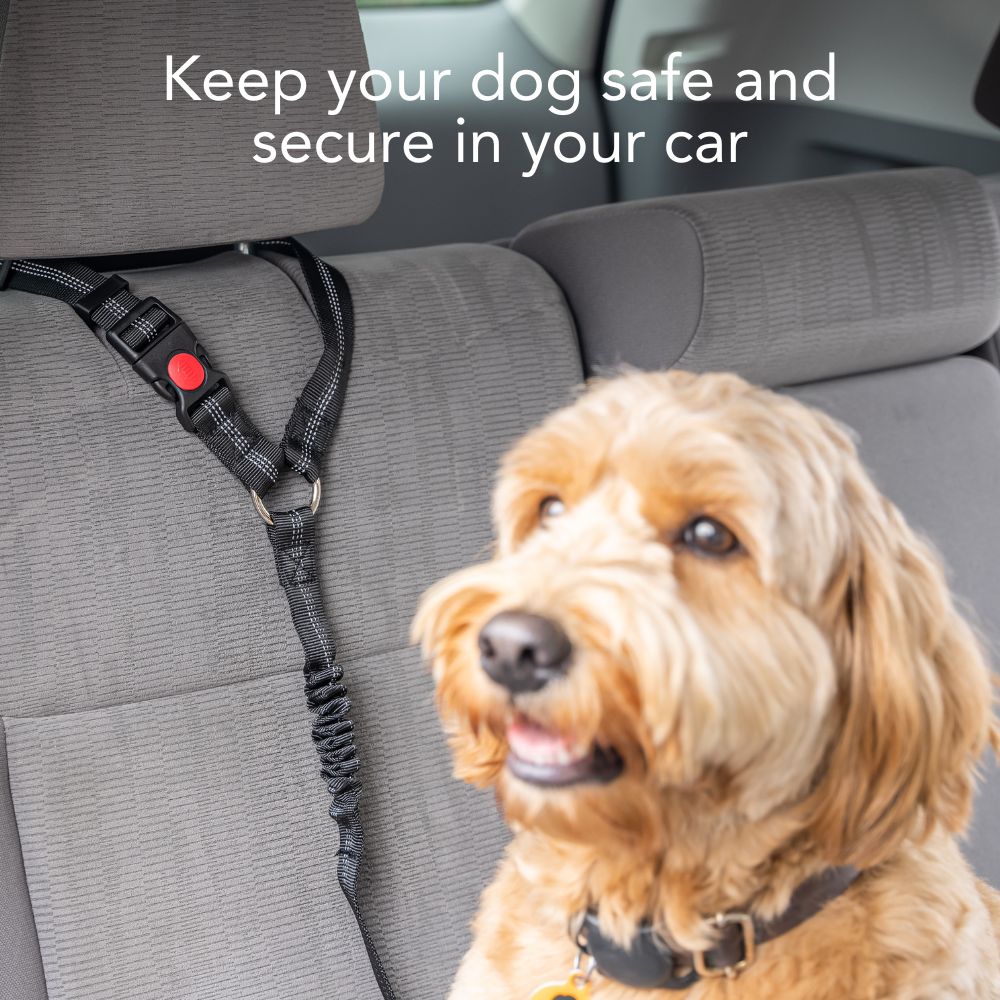 Dog Seat Belt for Vehicle Headrest Restraint - Adjustable &  Heavy Duty DEAL 64% OFF