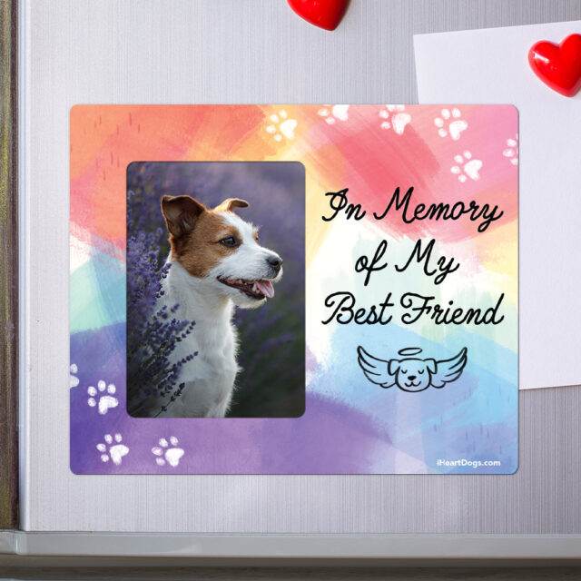 Dog memorial magnet rainbow