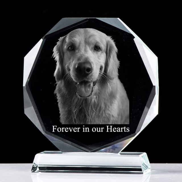 Dog memorial photo realistic