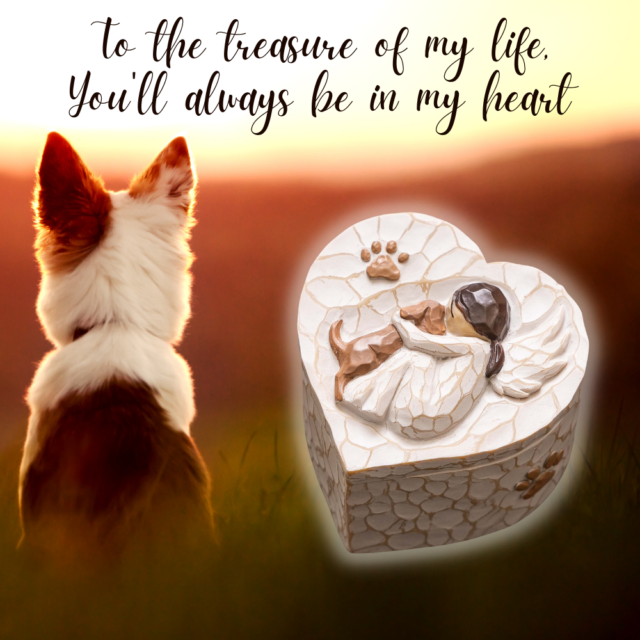 Dog Angel Wings Personalized Pet Memorial Remembering Dog Gifts You'll Meet  Me In The Light - Stunning Gift Store