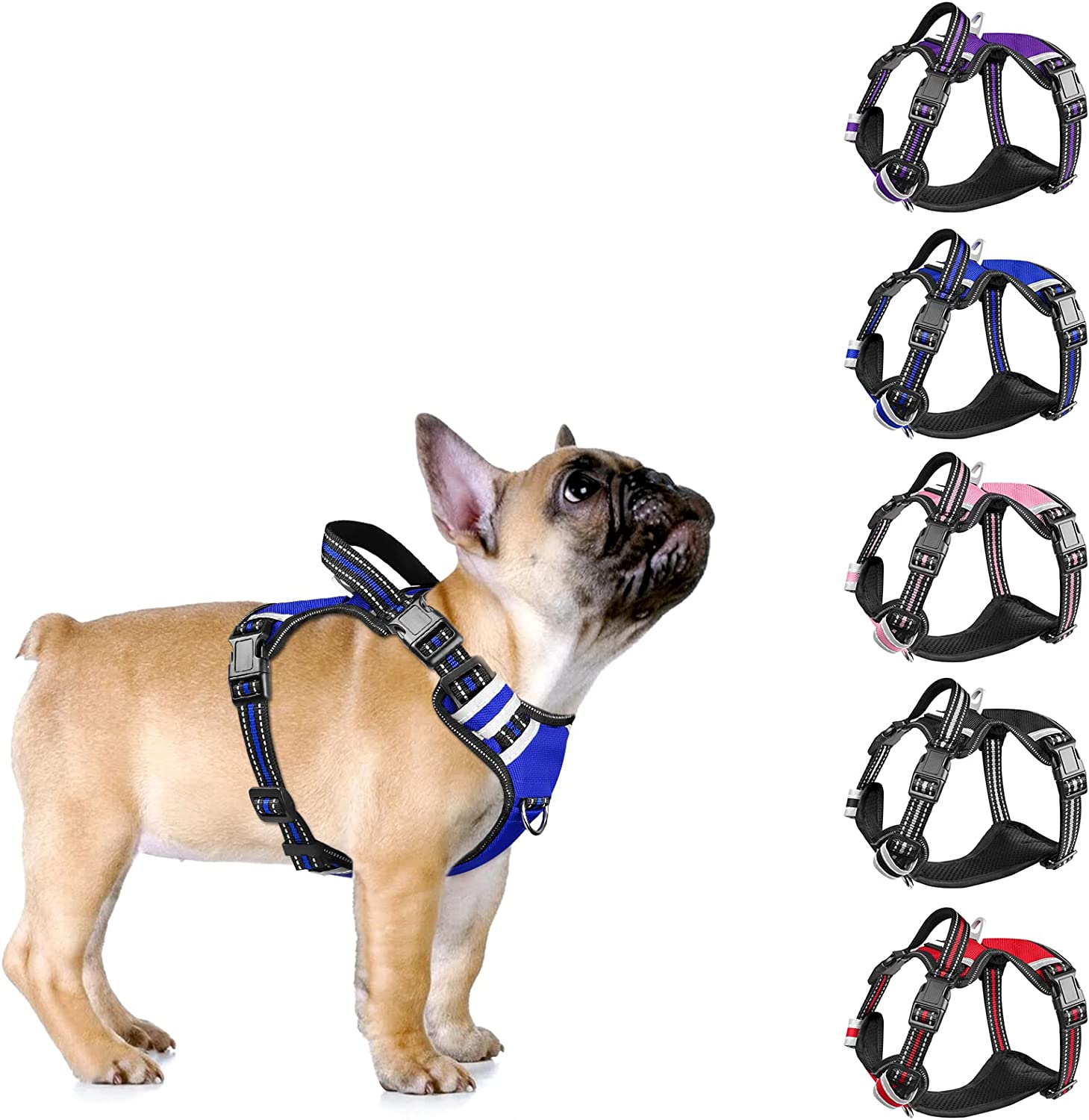 10 Best NoPull Dog Harnesses (+1 to NEVER Use)