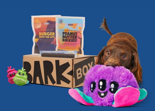 BarkBox dog subscription