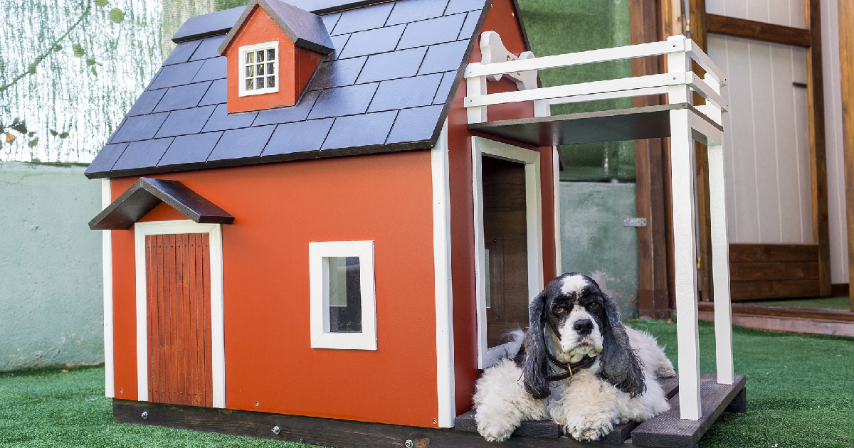 The 12 Best Dog Houses