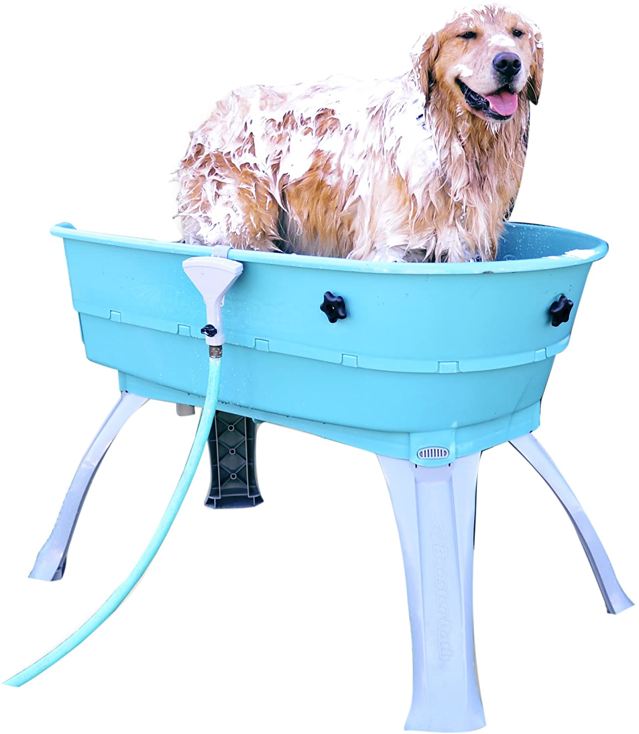 Booster Bath Elevated Pet Bathing Center