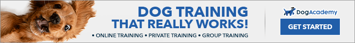 DogAcademy online dog training