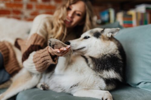 Dog Nail Grinders: Professional Groomer vs Veterinary Testing (2026 ... - Black Dog Nail Grinding For Fast Growth