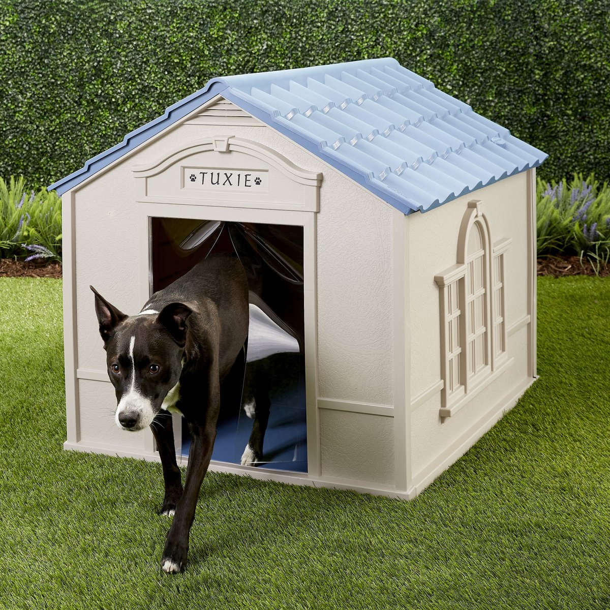 Suncast Outdoor Dog House