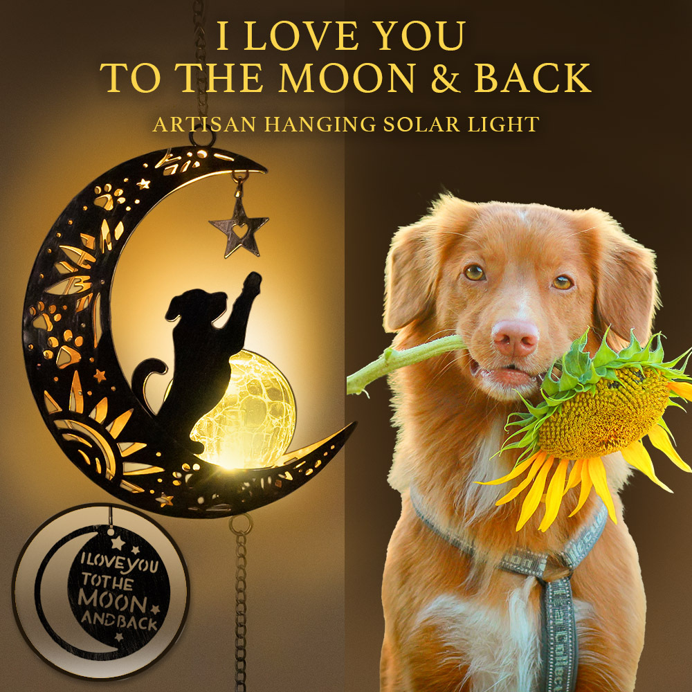 Second Chance Movement™ Love You To The Moon & Back- The Ultimate Garden Solar Lantern for Dog Lovers