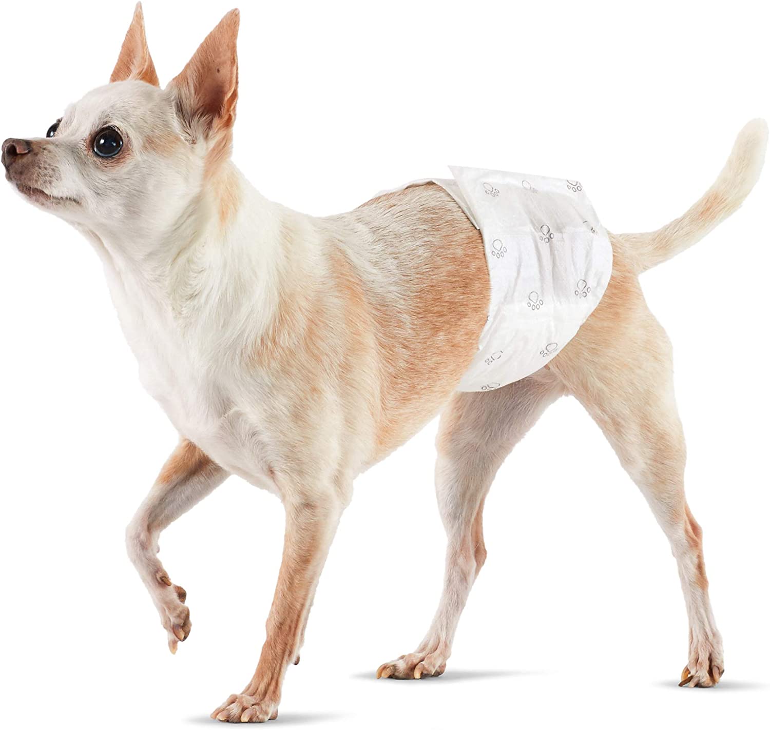 7. Amazon Basics Male Dog Wrap
