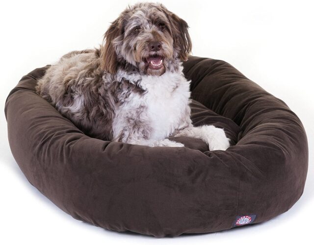 Chocolate Suede Bagel Dog Bed