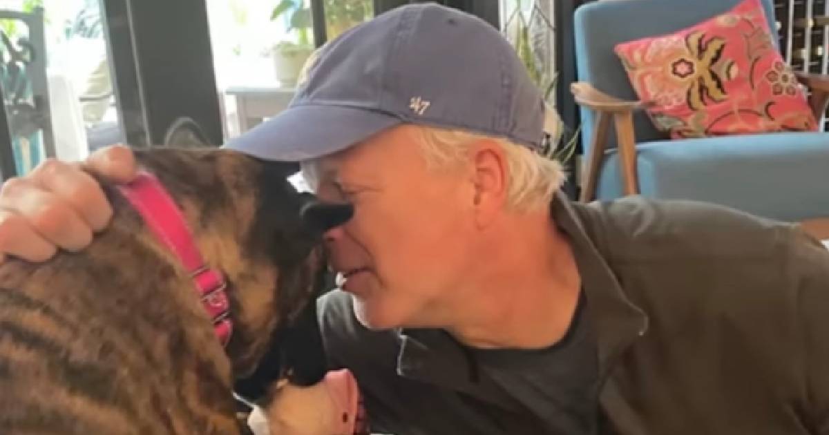 Man Breaks Down In Tears When He Finds Out He Can Keep His Foster Dog Forever