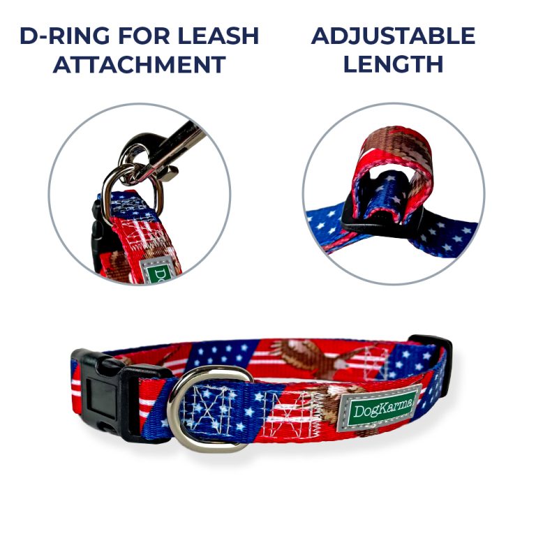 Tulip Dog Collar (Available in Large Only)