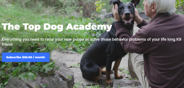 Dunbar Academy Dog Training