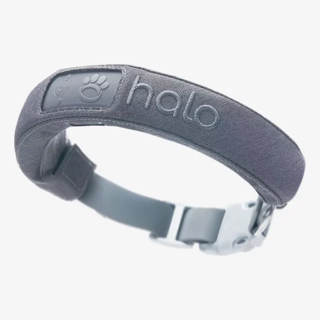 Halo wireless dog fence and collar