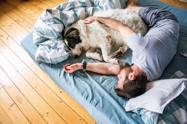 Man and dog on mattress