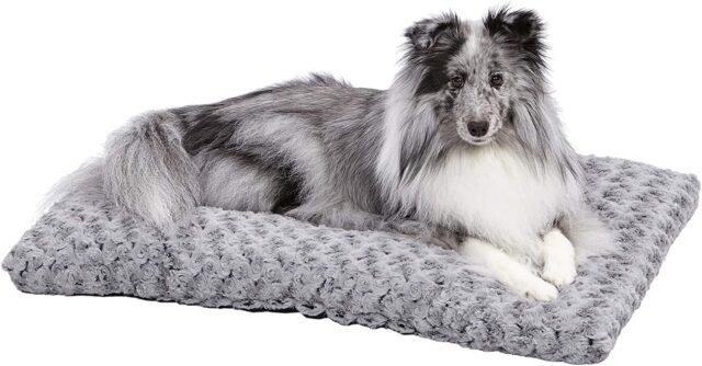 MidWest Dog Bed Medium Size