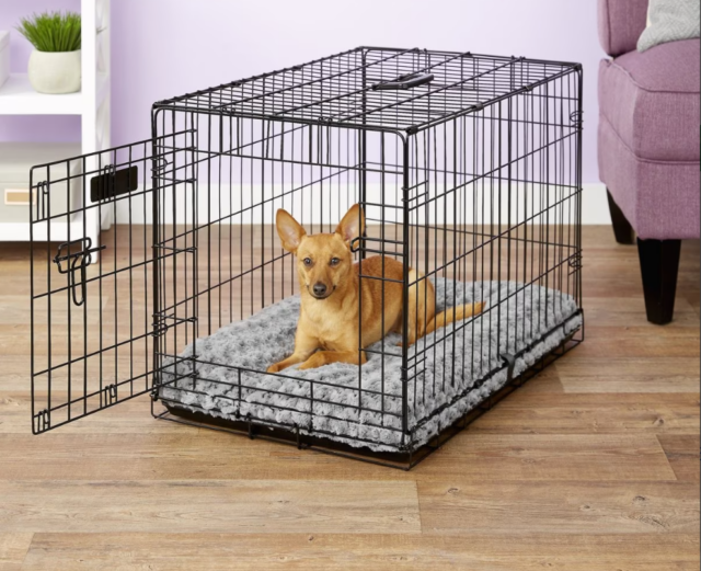 MidWest Dog Bed in Crate