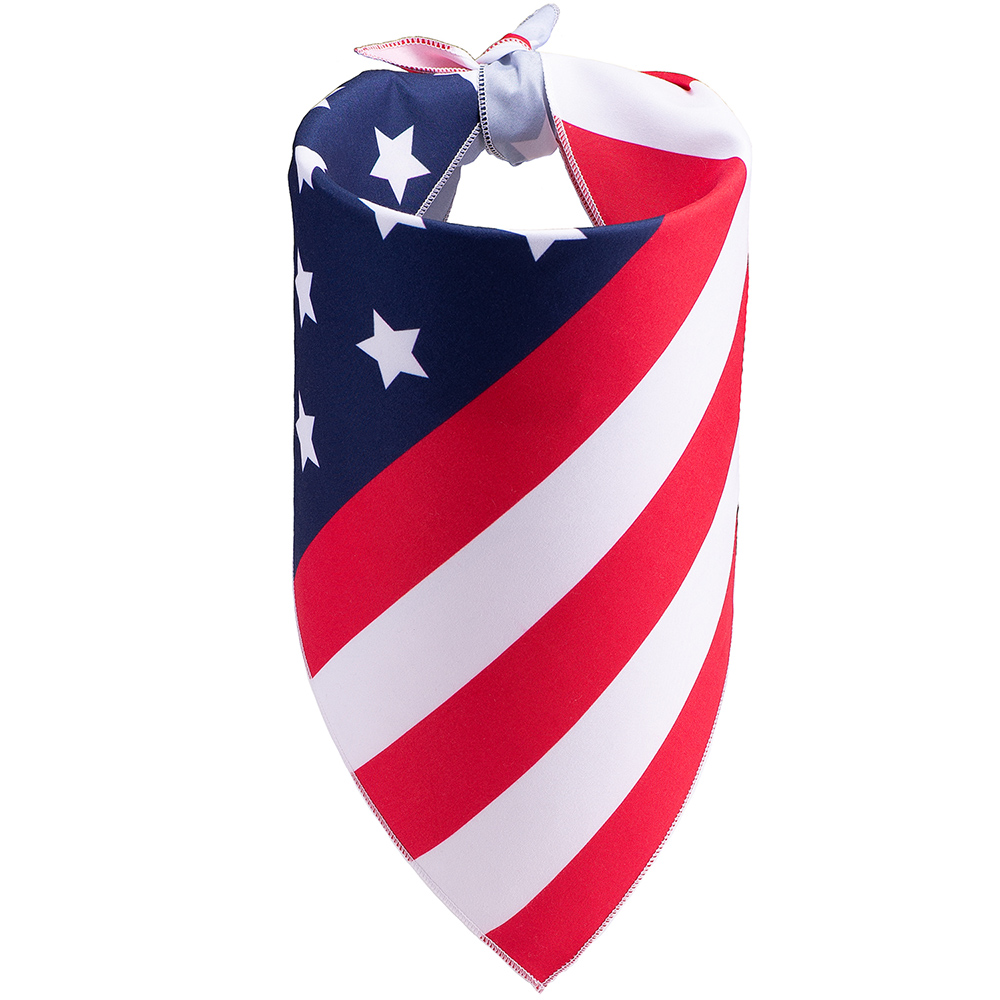 Patriotic Pup 🇺🇲 American Flag Dog Bandana - Deal Only $.99