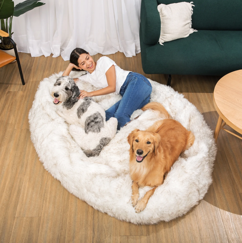 3. Paw.com PupCloud Human-Size Memory Foam Dog Bed