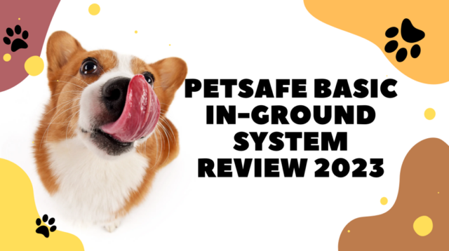 PetSafe In-Ground System Review