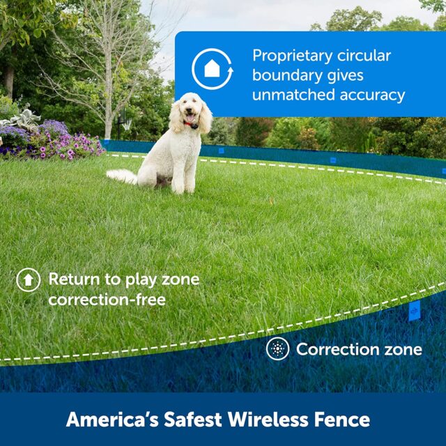 Safest Wireless Fence for Dogs